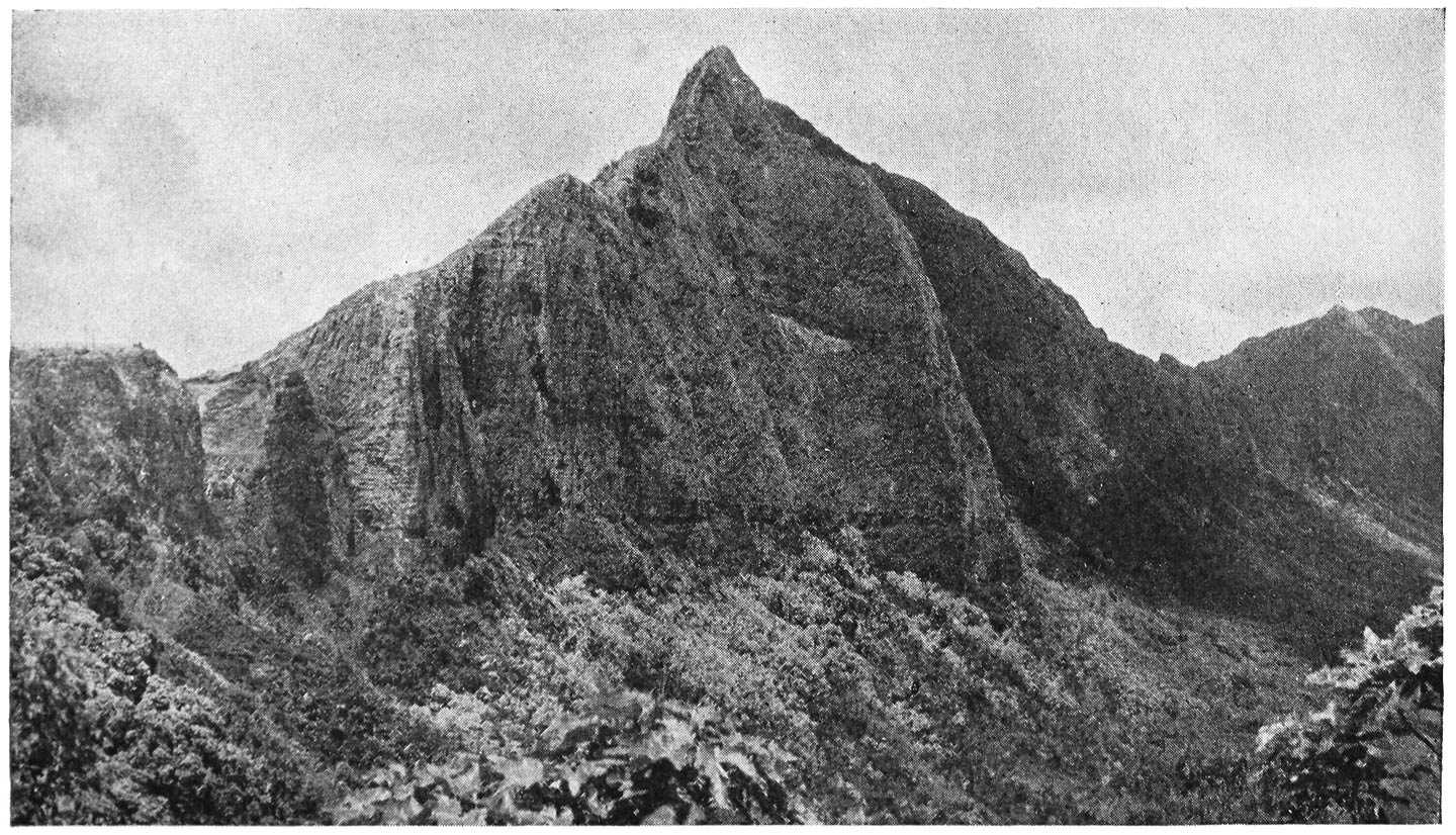 NUUANU PALI