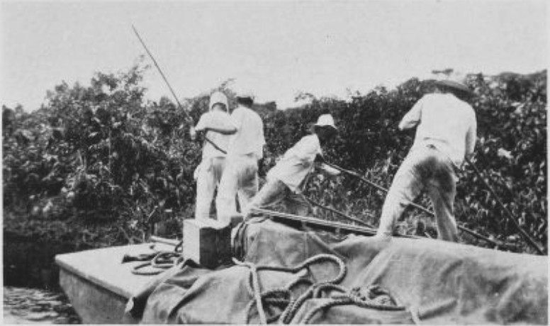 FOR THREE DAYS THE BOATMEN POLED THE LAUNCH THROUGH SHALLOWS FRAMED IN RANK GREEN JUNGLE