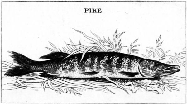 PIKE