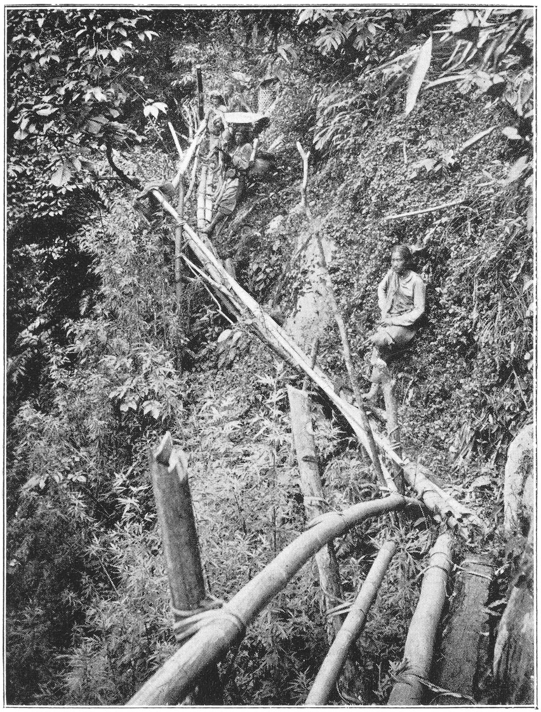 BRIDGE AT BRI, NEAR YANGYANG.