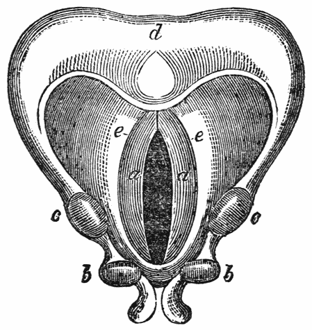 Fig. 13.