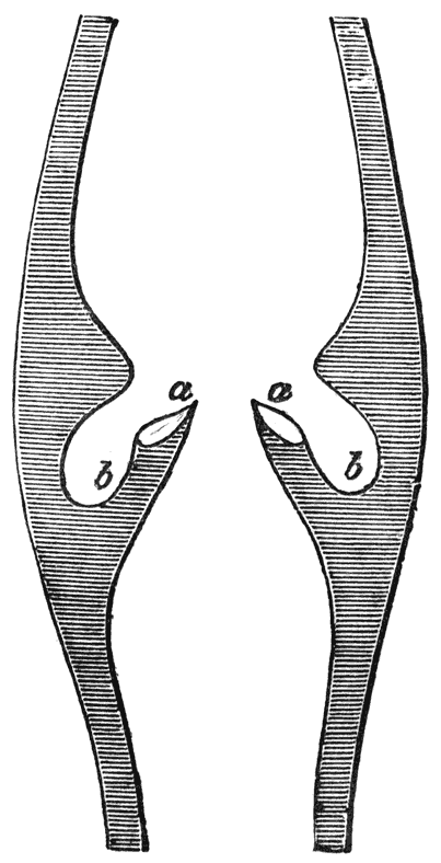 Fig. 15.