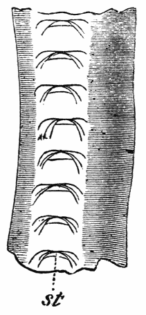 Fig. 28.