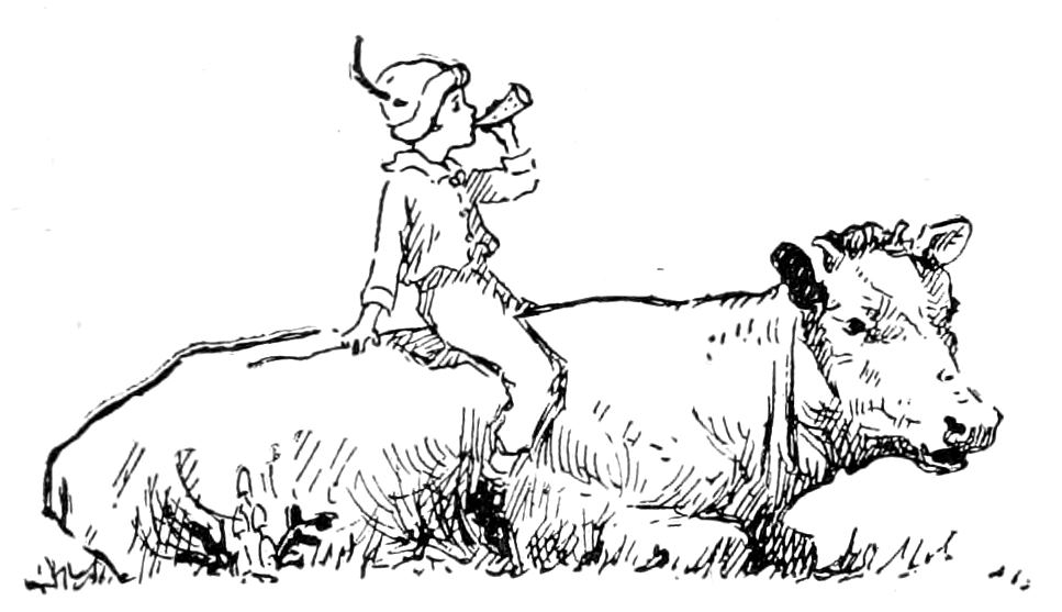 Boy on cow