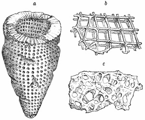 Fig. 74.