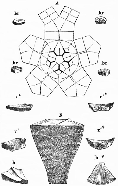 Fig. 300.