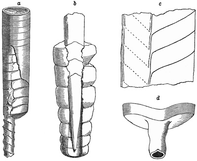 Fig. 1036.