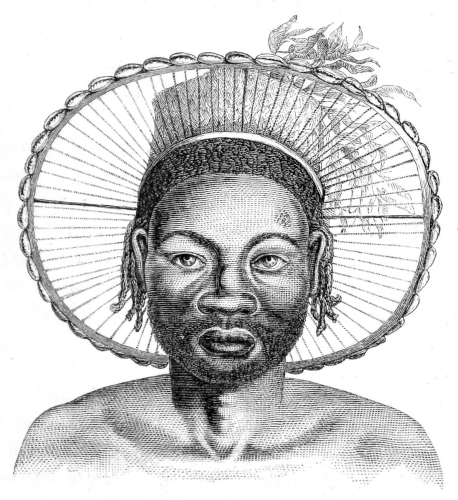 head-dress of the Niam-niam