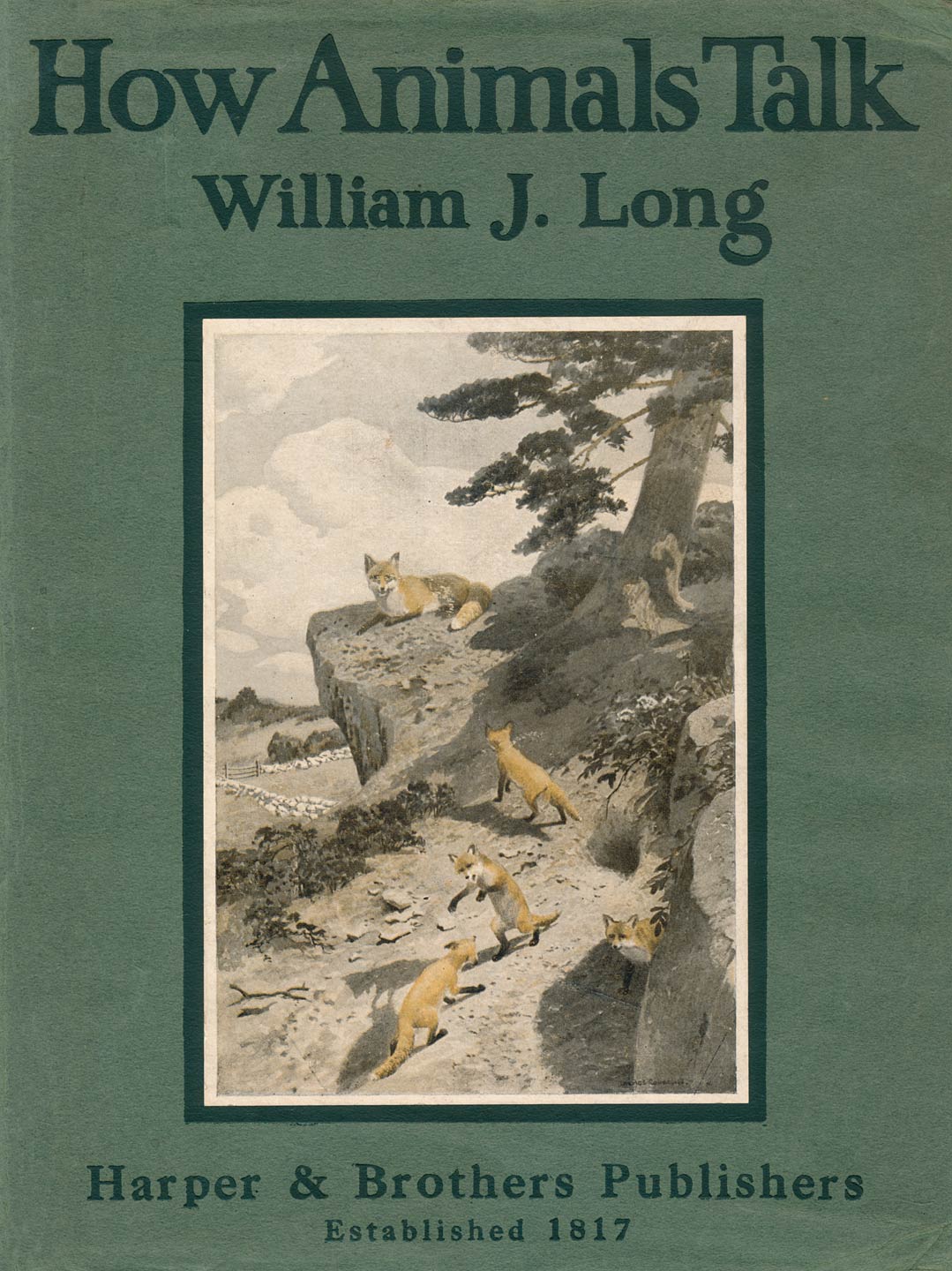 Original Dust Jacket (front).