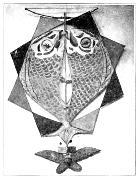 fish kite