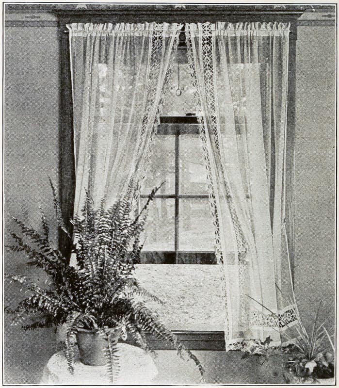 A plant by an ajar window with open curtains