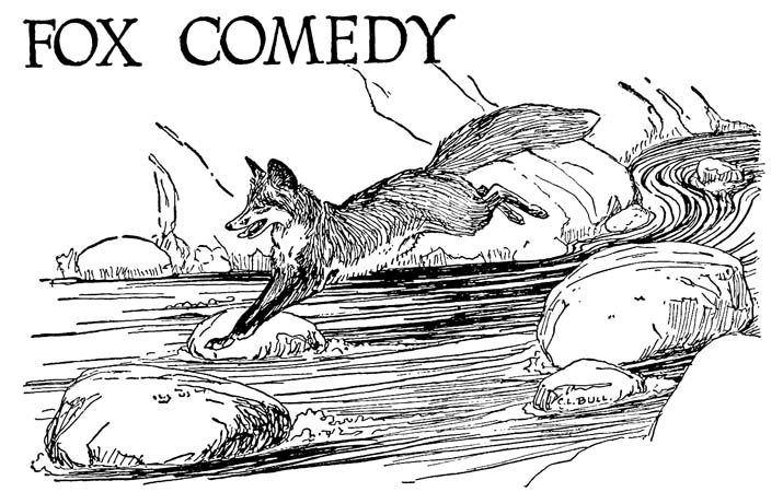 FOX COMEDY