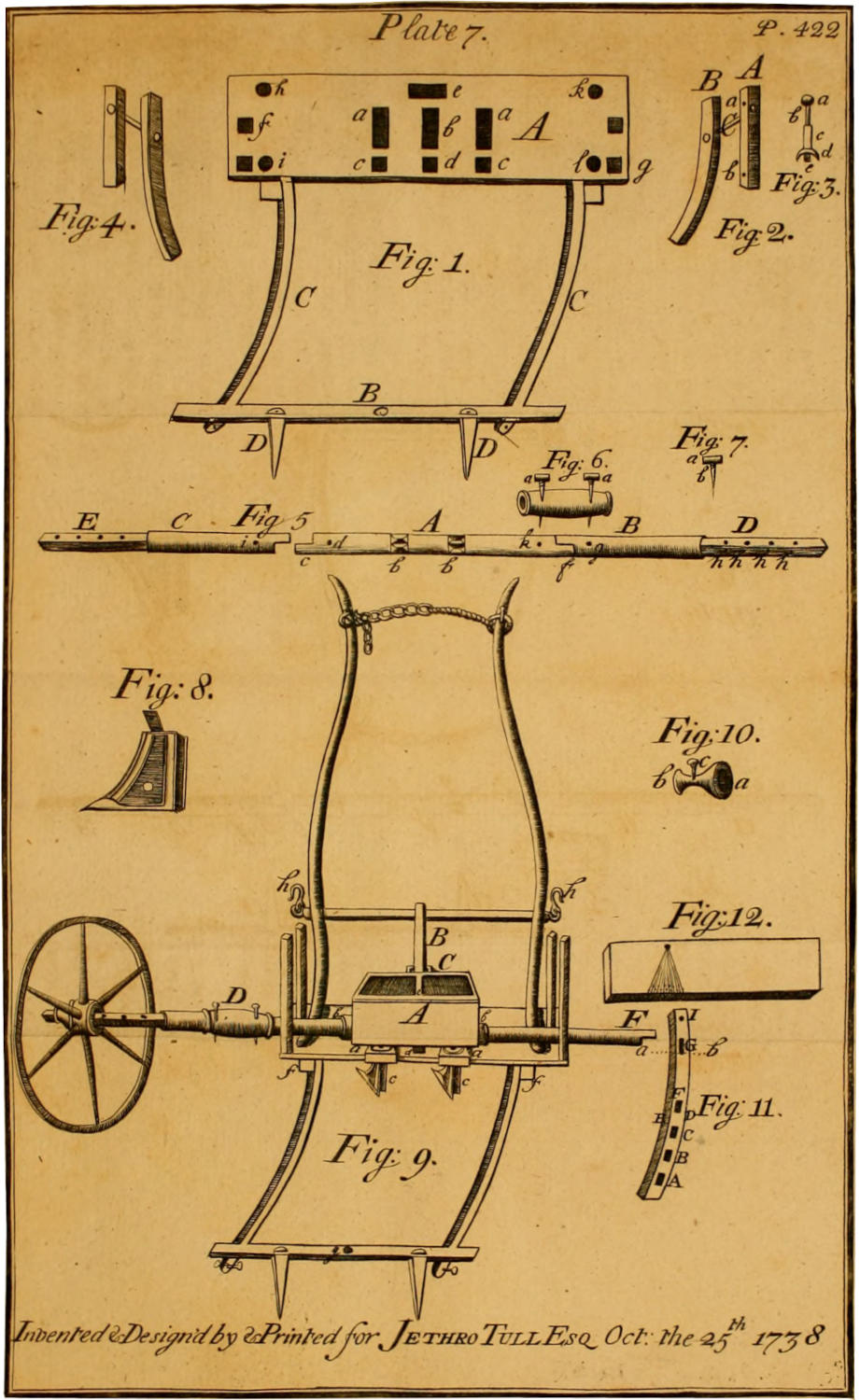 Plate 7