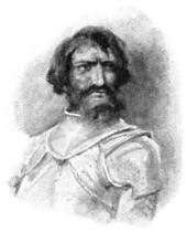 A bearded man, wearing armour