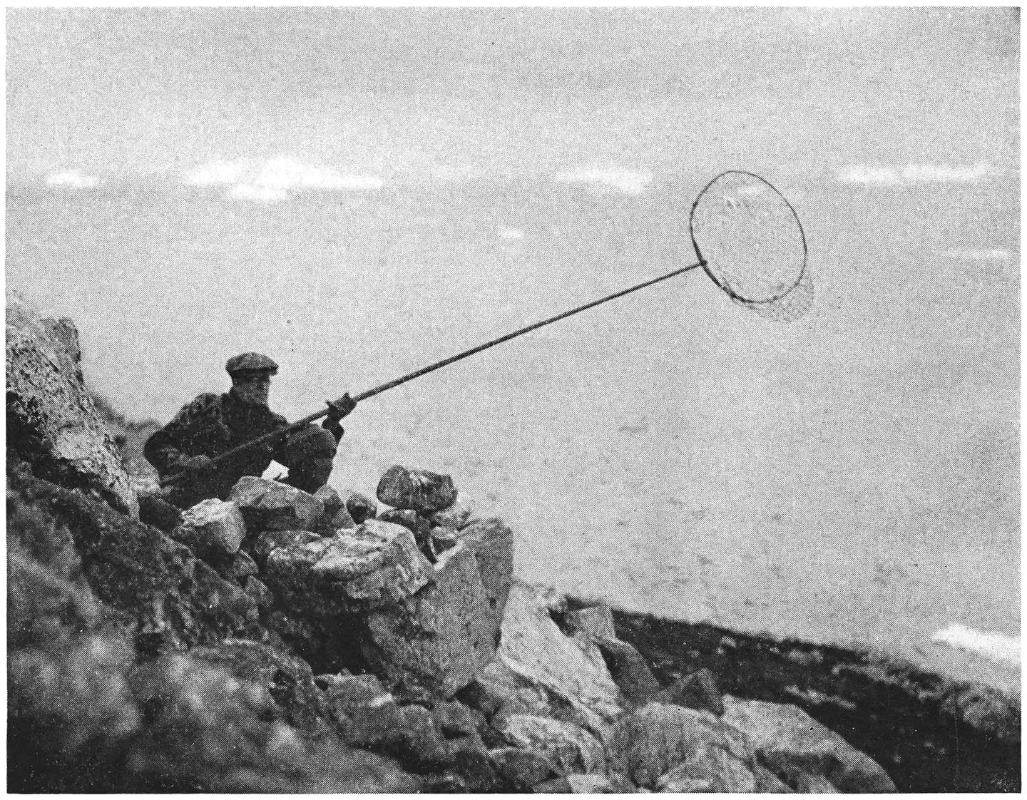 Dad Tries His Hand at Netting Dovekies.