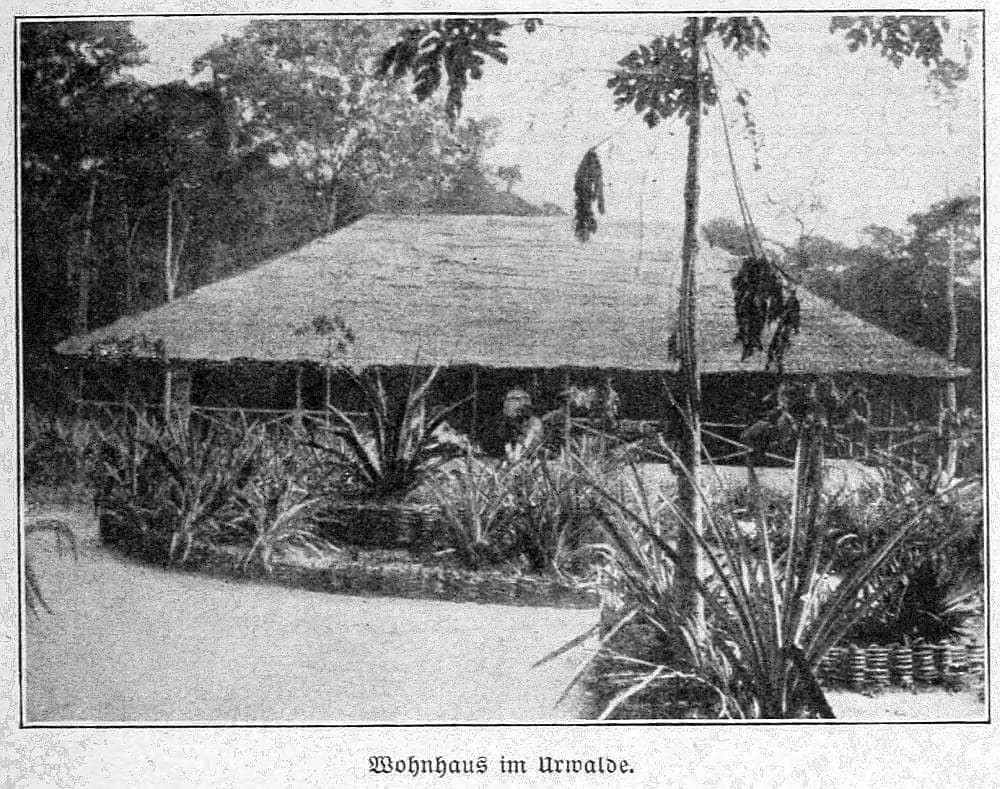 Wohnhaus im Urwalde