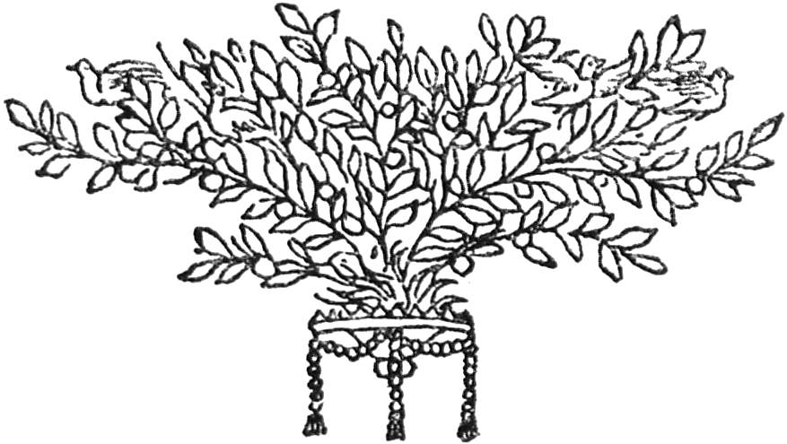 SChlussvignette
