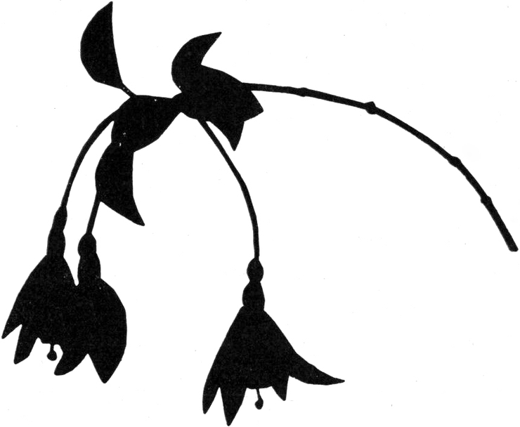 Silhouette eines Glockenblumenzweigs