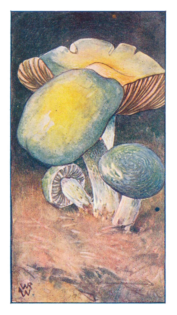 73