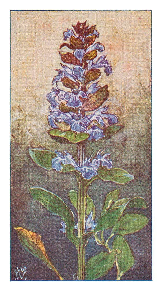 79
