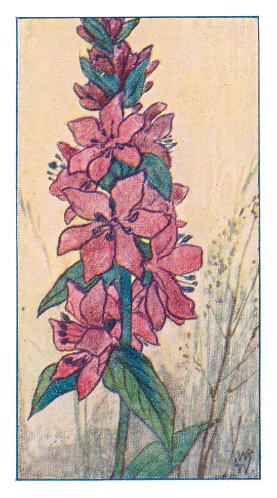 84