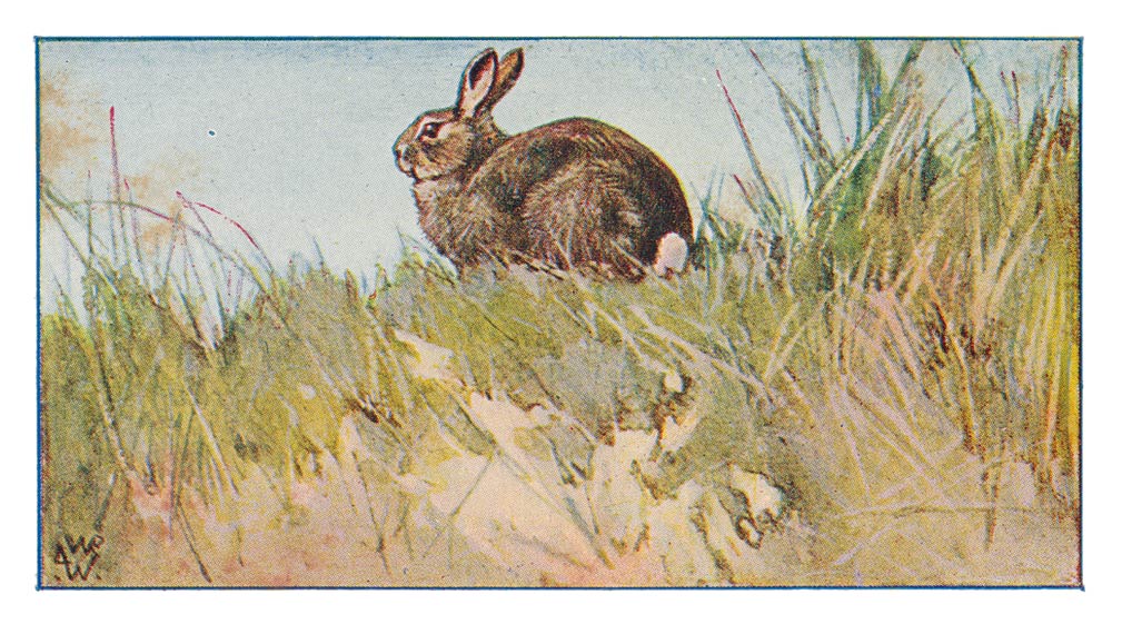 91