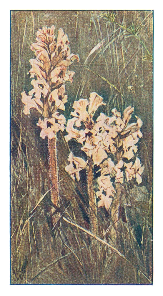 140