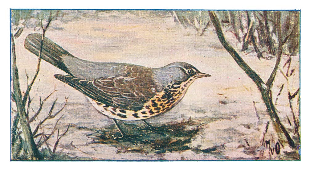 75