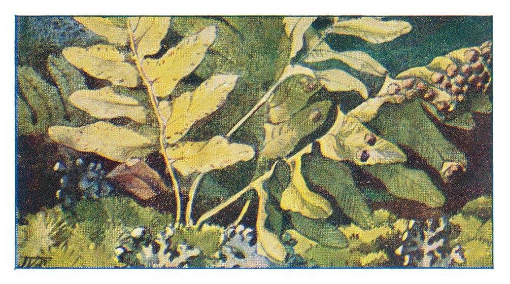 94