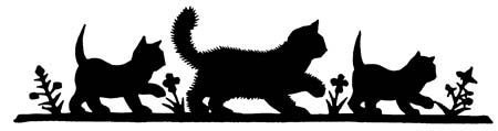 Sally, Oxford, and the travelling cat
