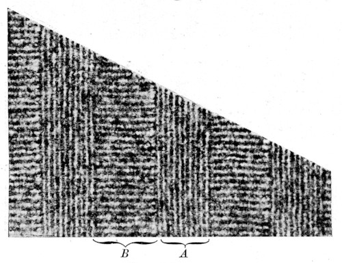 Vertical and transverse