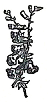 image020