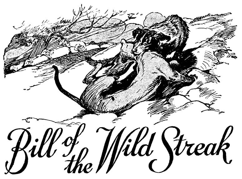 A dog holding a cougar by the neck.