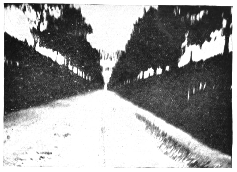 A straight dirt road lined by trees.