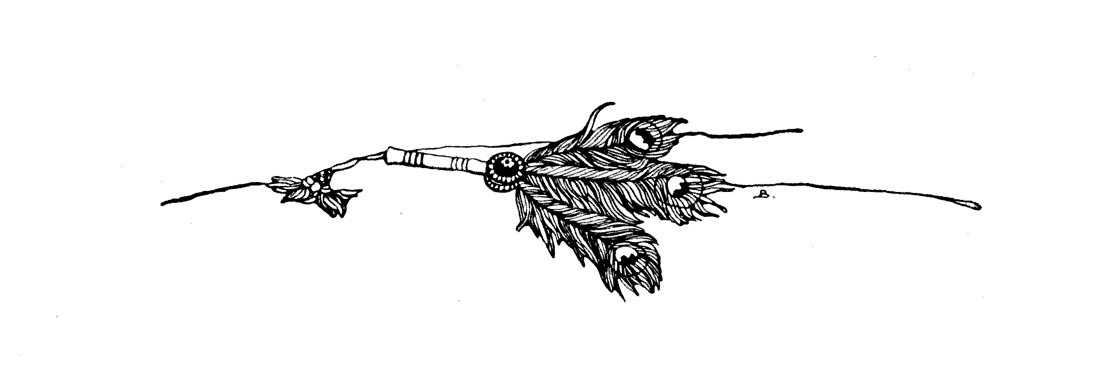 bunch of feathers