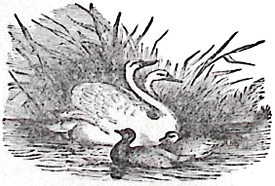 image005
