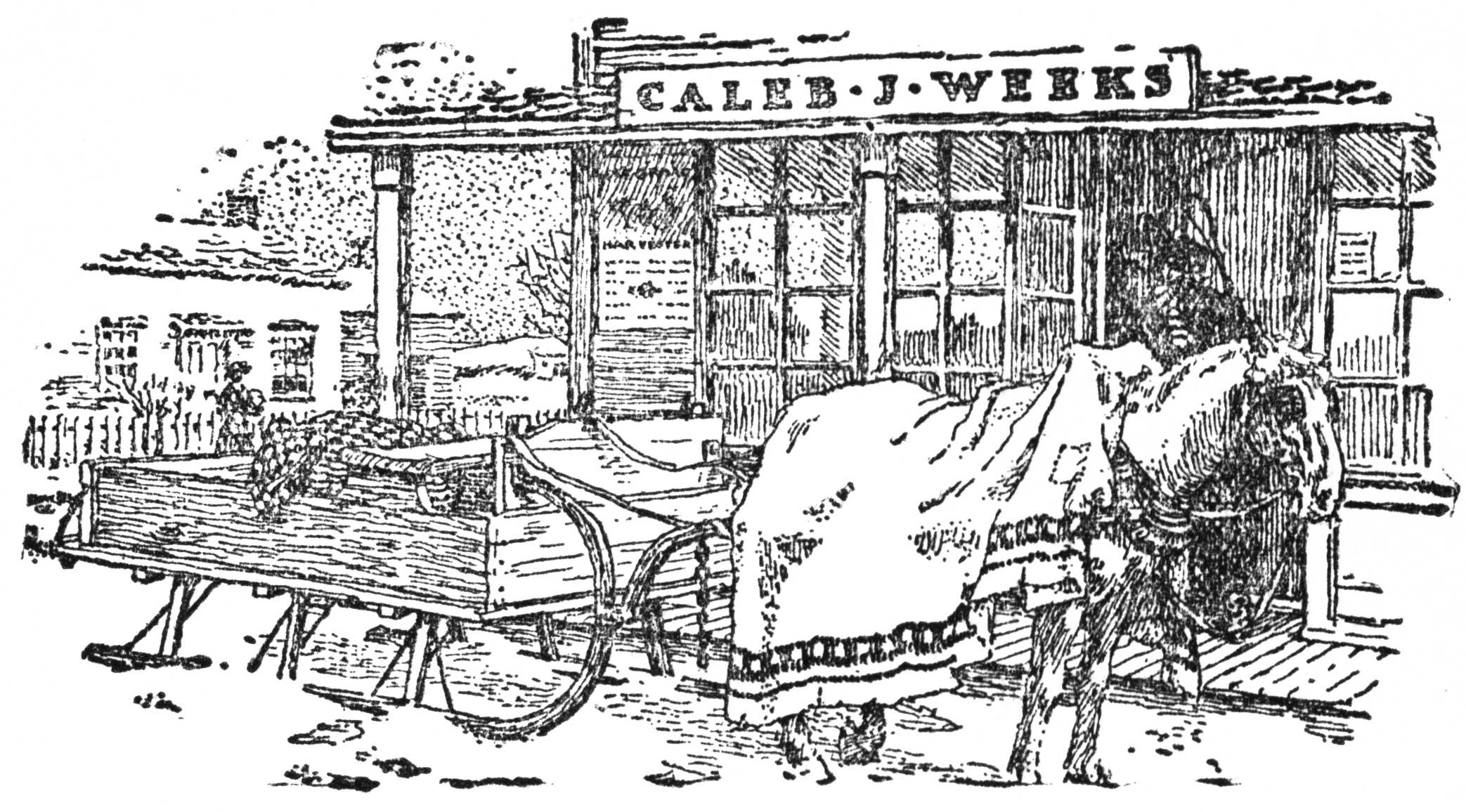 Horse and wagon in front of store
