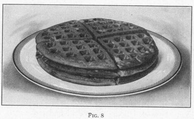[Illustration: FIG. 8.]