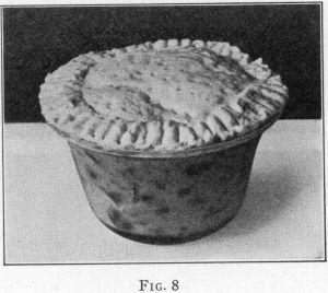 [Illustration: FIG. 8]