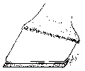 THE SHOE WITH HEEL-CLIP.