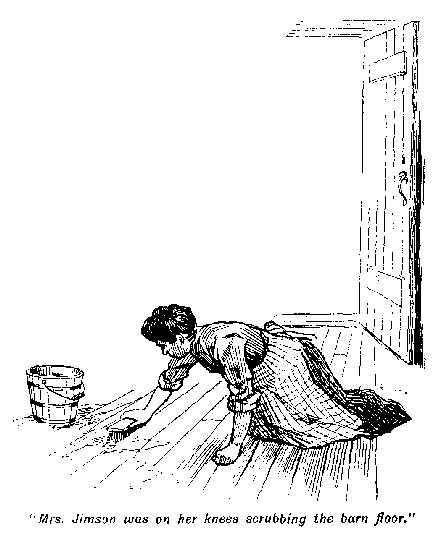 [Illustration: "<i>Mrs. Jimson was on her knees scrubbing the barn
floor</i>."]