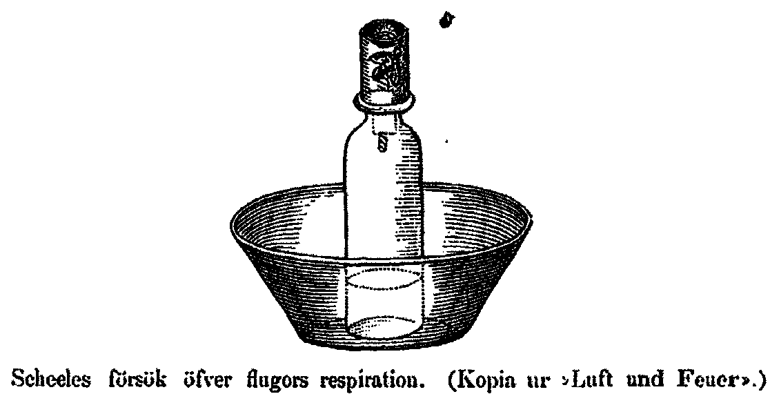 Scheeles f&ouml;rs&ouml;k &ouml;fver flugors respiration. (Kopia ur "Luft und Feuer".)