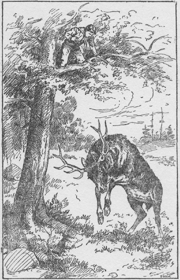 "DON'T YOU WISH YOU COULD?" HE SHOUTED DERISIVELY DOWN AT
THE ELK.&mdash;Page 98.

The Outdoor Chums After Big Game.