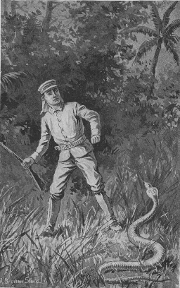 "He saw a huge cobra directly in front of
him."--Page 242.