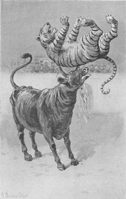 "The striped beast went
up into the air."--Page 263.