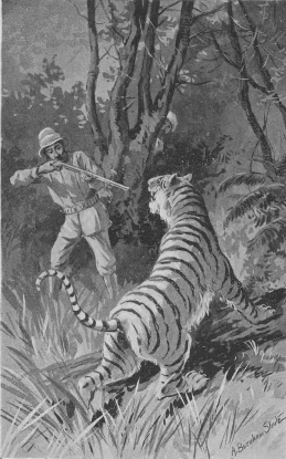 Captain Ringgold brought down
another--Page 349