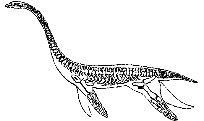 Plesiosaurus