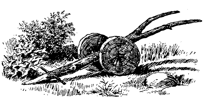 MY PLOUGH.&mdash;UTILITY, NOT BEAUTY.