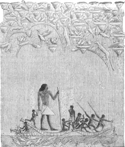 FIG. 1.—HUNTING IN THE MARSHES. TOMB OF TI, SACCARAH.

(FROM PERROT AND CHIPIEZ.)