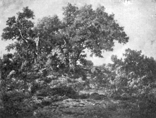 FIG. 65.—ROUSSEAU, CHARCOAL BURNERS' HUT. FULLER
COLLECTION.